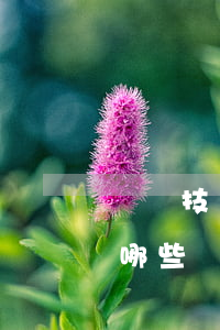 簽訂技術(shù)合同需要注意的問題有哪些？